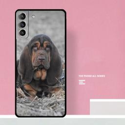 Basset cão de caça caso para samsung galaxy s22 s23 ultra s20 s21 fe nota 10 plus s8 s9 s10 note20 ultra capa - Image 6