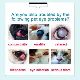Cataract Colírio para Animais de Estimação, Treat Cat Pet, Cão Idoso, Elimina Gatos Maus, Ceratite Precoce, Água Colírio, 20ml - Image 4
