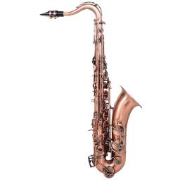 SLADE-Bb Saxofone Tenor Instrument com Kit de Limpeza para Iniciantes, Bandas para Jogar, Acessórios Profissionais - Image 2