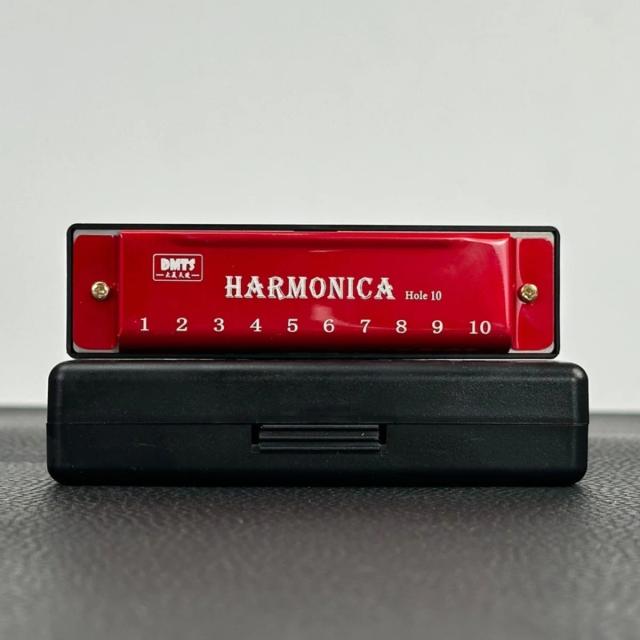 Gaita Profissional Miwayer de 10 Buracos - Órgão Metálico para Iniciantes em Música