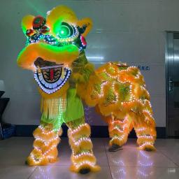 Parque de diversões de leão com led, adereços de dança de leão, festival tradicional chinês, luz led dupla, dança do leão, traje sul - Image 3