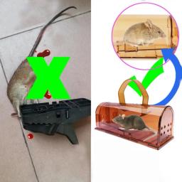 Multiuso destacável automaticamente mouse esquilo armadilha gaiola jardim suprimentos - Image 6