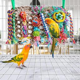 Brinquedos De Pássaro Acessórios De Papagaio Brinquedos De Mastigação Molares De Papagaio Rede De Escalada Treinamento De Pássaro Brinquedo Interativo Gaiola De Pássaro Decoração Suprimentos - Image 2