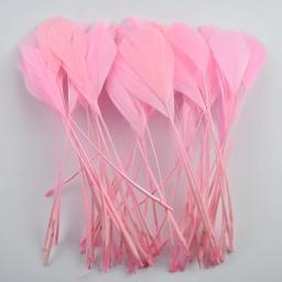 20 pçs/lote colorido ganso pena decoração preto gansos penas de ganso diy jóias festa artesanato acessórios decoração para roupas - Image 6
