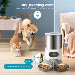 Stainless Steel Pet Food Dispenser com Tempo de Gravação, Smart App, Alimentador Automático para Cães e Gatos - Image 6