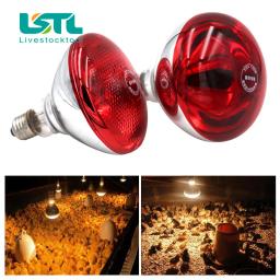 Lâmpada de aquecimento para répteis anfíbios Pet, preservação térmica, calor infravermelho Ray, Pet, gado, animais, 100 W, 150 W, 200 W, 275W, 220V - Image 4