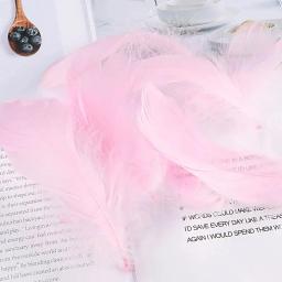 Penas de Ganso para Artesanato, Plumas De Cisne, Festa De Casamento, Decoração De Acessórios Artesanais, Penas Do Apanhador De Sonhos, 8-12cm, 100Pcs - Image 4