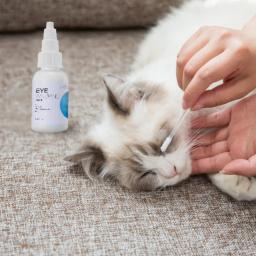 Colírio Hidratante para Animais de Estimação, Lavagem ocular, Líquido Limpeza Olho Gato, 50ml - Image 1