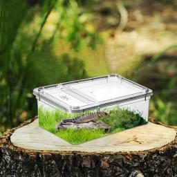 Terrário de plástico transparente para répteis, transporte de insetos e répteis, reprodução de alimentos vivos, caixa de alimentação - Image 2