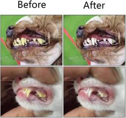 Silicone Dedo Toothbrushes para Pet, escovas macias, escova do cão, mau hálito, tártaro dentes cuidado ferramenta, gato limpeza Scrub, Silicone Pet Supplies - Image 5