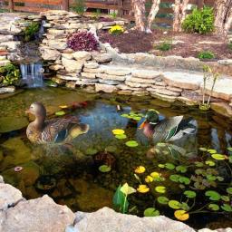 Resina intempéries Pato Flutuante, Cisne Decorações, Realista Natação Pato Selvagem, Outdoor Garden Pond Decor - Image 5