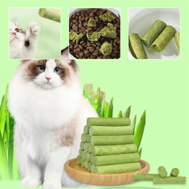 Bastão Aromatizado de Grama de Gato para Pet Snacks, Controle de Hairball e Limpeza Dental - Disponível em Pacotes de 1, 3 ou 6 Unidades