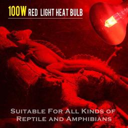 Lâmpada de calor infravermelho, luz vermelha, lâmpadas de calor para Pet, lagartos, dragões barbudos, camaleões, cobras, répteis, anfíbios, 100W, 2 Pack - Image 3