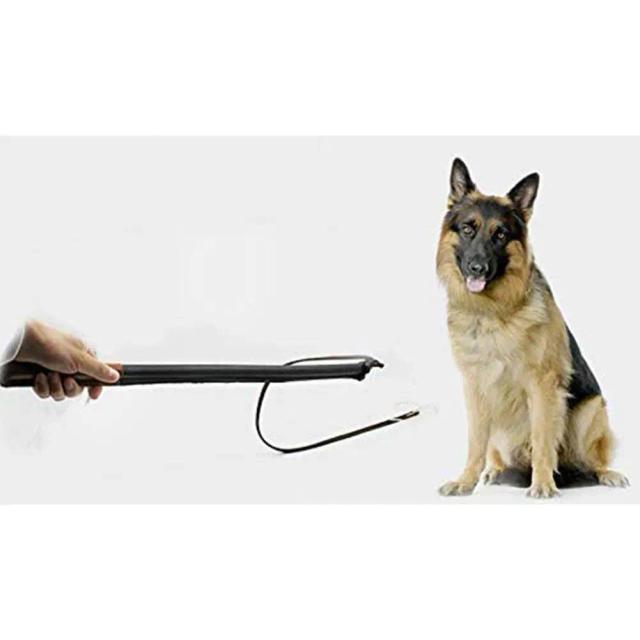 Treinamento Profissional de Cães com Chicote Interativo em Couro Durável
