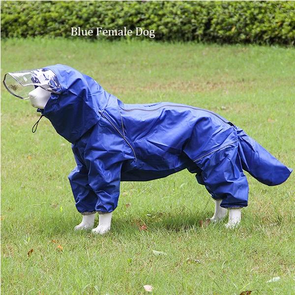 Capa Dupla Impermeável e À Prova de Vento com Capuz para Cães e Gatos - Poncho de Chuva para Pets de Todos os Tamanhos