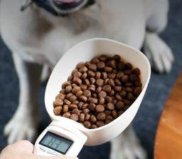 Ferramenta de Medição Eletrônica para Ração Animal, Colher para Cães e Gatos, Balança de Cozinha, Display Digital, Itens de Alta Qualidade, 250ml - Image 4