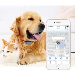 Anti-Lost Unlimited Range Localização GPS Tracker, Pet GPS Tracker, Atividade inteligente, Casa, Médio, Grande, Gatos, Acessórios para cães - Image 2