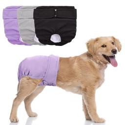 Cachorro fralda shorts para filhote de cachorro grande cão feminino calças fisiológicas sanitárias calcinha ajustável reutilizável pequeno cueca do cão cuecas - Image 1