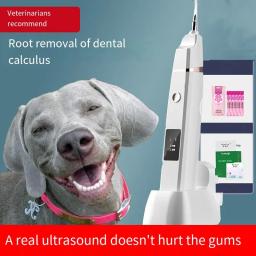 Alta Freqüência Ultrasonic Pet Dental Cleaner Escova de Dentes Elétrica, Dog Tooth Cleaner, Dog Acessórios, Suprimentos de limpeza - Image 1