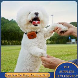 Rastreador de gps do cão inteligente para o animal de estimação colar rastreamento localizador de cachorro anti-perdido alarme tag dispositivo de rastreamento de voz monitor criança mais velho localizador - Image 3