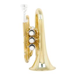 M MBAT-Professional portátil bolso trompete, Flat B Bb, instrumentos de latão, Palm Horn, latão, pano, escova, graxa - Image 4