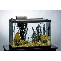 Mini Kit Tanque de Peixes com Iluminação LED e Decoração Fishbowl, 20 Galões, Pequeno, Aquário, Aquários, Pet Acessórios - Image 3