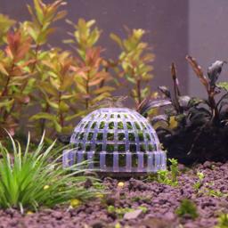 Plástico Aquário Moss Bola Filtro, aquático Pet Supplies, decorações para Camarão, Fish Tank, Pet Products, Decoração, 1Pc - Image 4