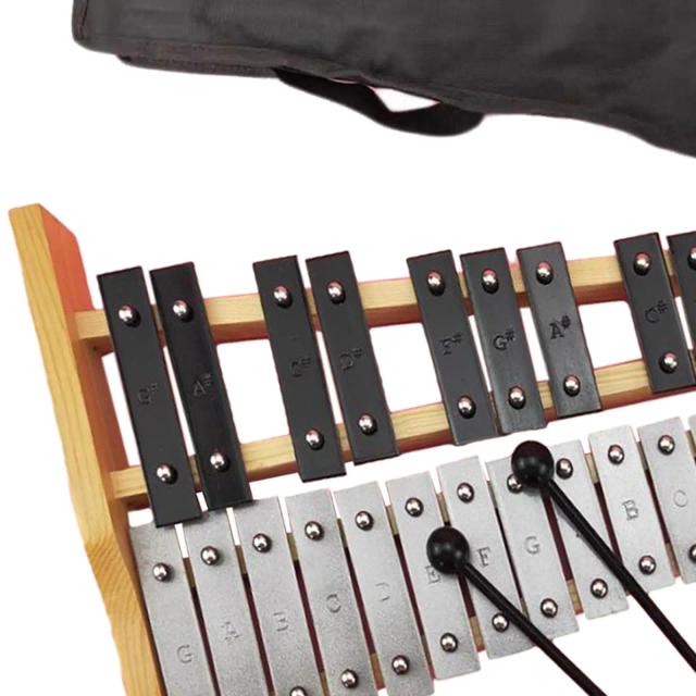 Glockenspiel de 25 Notas: Percussão Xilofone para Crianças e Adultos, Ideal para Iniciantes e Performances em Banda