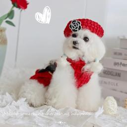 Roupas para cães de inverno artesanal suprimentos para animais de estimação moda parkas vestido jaqueta de malha superior e tweed colete grande lantejoulas arco acessórios boina - Image 3