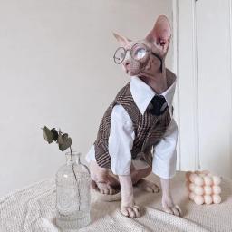 Roupa estilo britânico para casais, roupa de gato sem pêlos, camisa para gatos, Devon Rex, maré, nova, outono e inverno - Image 4
