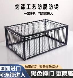 Dobrável Galvanizado Pombo Pássaro Armadilha Gaiola, Feral, Maneira Humana com Entrada Armadilha, Pombos Pombas em Gaiolas - Image 2
