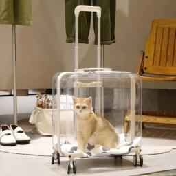 Mala carrinho transparente para Pet, transporte exterior, acessórios de viagem, Pet Products, gatos e cães pequenos Design - Image 2