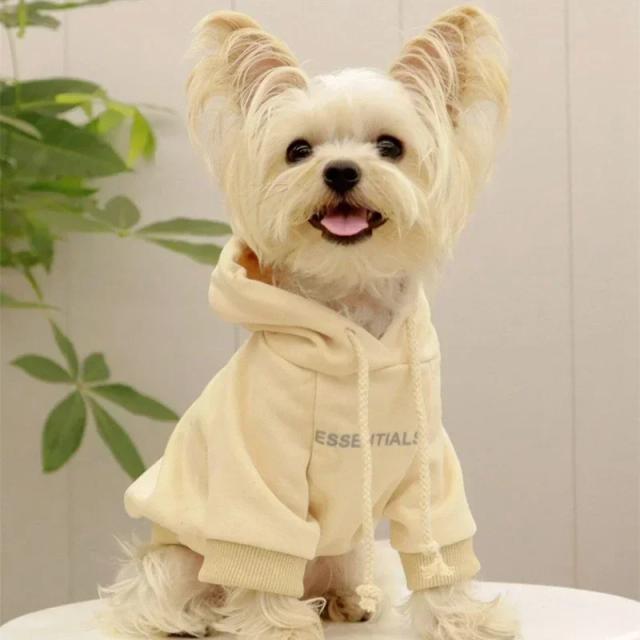 Hoodies de lã para cães pequenos: moletom quente e macio para poodles e malteses com design exclusivo.