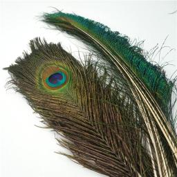 Penas de pavão reais naturais para decoração, vasos artesanais, longos, grandes, espada, decoração, vaso, apanhador de sonhos, acessórios, atacado - Image 2