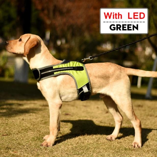 Colete Luminoso para Cães Grandes com Alça Torácica e Segurança Reflexiva para Passeios ao Ar Livre