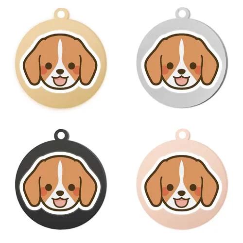 Colar Personalizado em Aço Inoxidável com Desenhos Animados de Pets e Nome do Animal