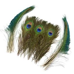 Penas de pavão reais naturais para artesanato, penas longas, pena de pavão, decoração de jóias, carnaval, 50pcs por lote - Image 1