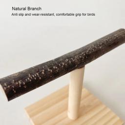 Suporte de mesa natural para animais de estimação, papagaio, madeira bruta, garfo, ramo de árvore, rack, esquilo, pássaro, hamster, poleiros, brinquedos de mordida de mastigar - Image 3
