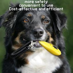 Portátil Pet Training Clicker, Instrução De Correção De Cachorro, Clicker Comportamental, Correia De Pulso, Chaveiro De Som, Dog Supplies - Image 6