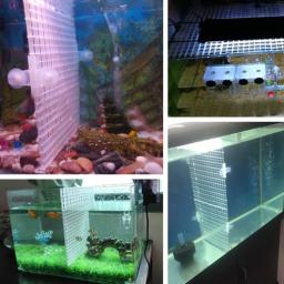 Divisor peixes para tanque, caixa plástico para aquário, placa separação, placa isolamento peixes para do - Image 2