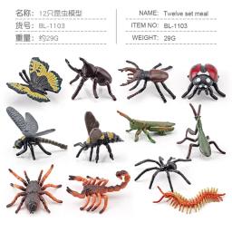 Figurinhas em miniatura de insetos, Animal Set, Modelo didático, Aranha, Borboleta, Biologia, Brinquedos Educativos, Ornamento de Paisagem - Image 6