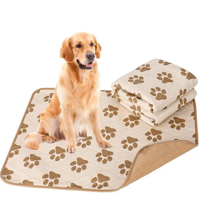 Tapete Lavável para Cães com 4 Camadas Anti-deslizante e Alta Absorção para Treinamento e Conforto do Seu Pet