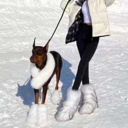 Y2K Botas fofas de cano médio inverno moda feminina botas de neve sapatos de algodão quente - Image 3