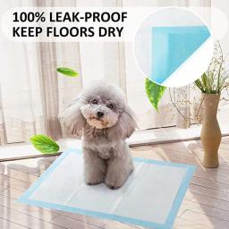 Tapete absorvente super descartável da fralda do animal de estimação do treinamento do cão do xixi da almofada da fralda do potty para o filhote de cachorro interno dos gatos almofada rápida-seca da urina do cão - Image 4