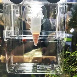 Alimentador automático de peixes cônicos para aquário Alimentação de verme vermelho Copo de funil Ferramenta de alimentação de alimentos Acessórios de aquário - Image 5