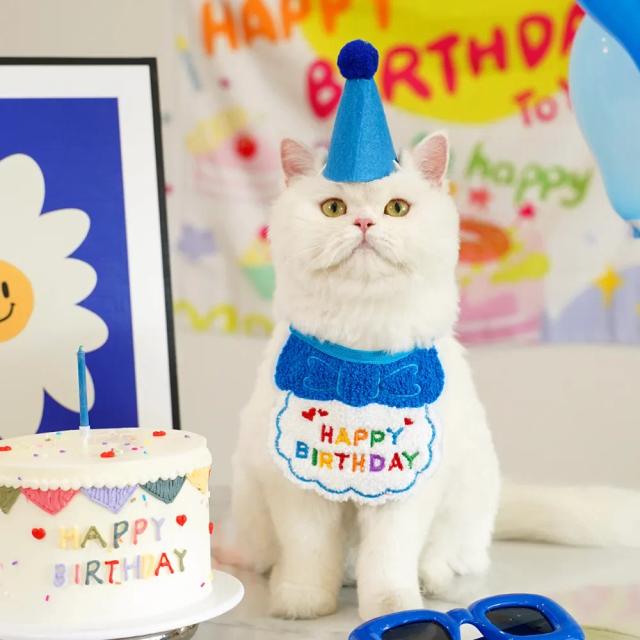 Conjunto de Acessórios de Festa de Aniversário para Animais: Chapéu, Bandana e Laços para Gatos e Cães Pequenos, Meninos e Meninas