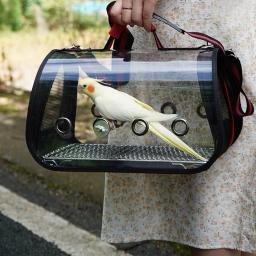 Gaiola para transporte de pássaros com poleiro, transporte espacial respirável, mochila para pássaros, mochila multifuncional para pássaros, ao ar livre - Image 1