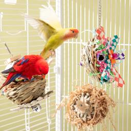 Papagaio colorido mastigando brinquedos, Foraging Shredder, gaiola pendurada, acessórios para calopsita, periquitos, Lovebird, saúde, 3 pcs - Image 2