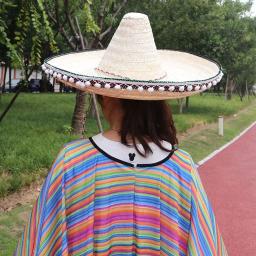 Chapéus de palha coloridos para homens e mulheres, estilo mexicano, aba larga, chapéu de sol ao ar livre, tamanho grande, sombrero ráfia legal para festa de Halloween - Image 3