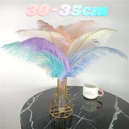 10 pçs/lote penas de avestruz coloridas para artesanato decoração de casamento acessórios de artesanato peças centrais de mesa carnaval plumas decoração - Image 2